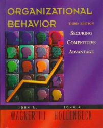 Organizational Behavior : Securing Competitive Advantage - John A. Wagner