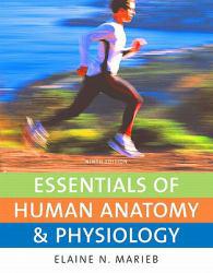 Essentials of Human Anatomy and Physiology-Package - MARIEB
